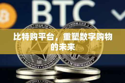 比特购平台，重塑数字购物的未来