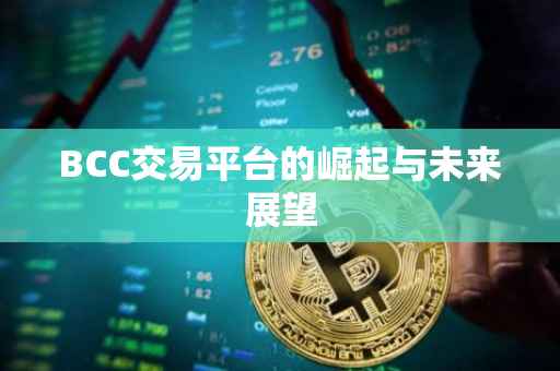 BCC交易平台的崛起与未来展望