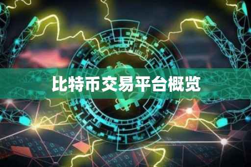 比特币交易平台概览