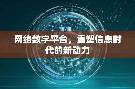 网络数字平台，重塑信息时代的新动力