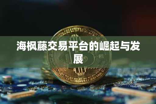 海枫藤交易平台的崛起与发展