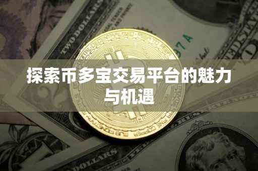 探索币多宝交易平台的魅力与机遇