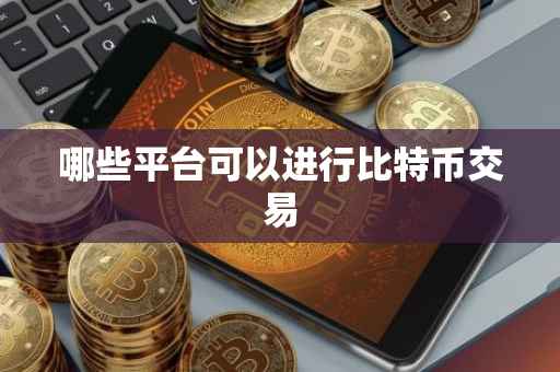 哪些平台可以进行比特币交易