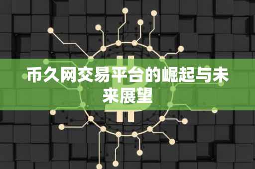 币久网交易平台的崛起与未来展望