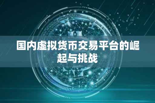 国内虚拟货币交易平台的崛起与挑战