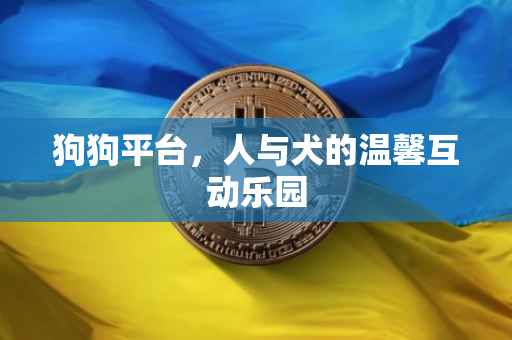 狗狗平台，人与犬的温馨互动乐园