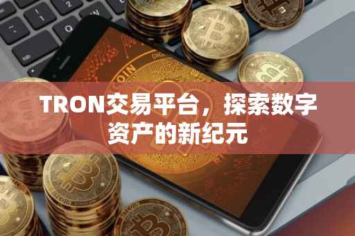 TRON交易平台，探索数字资产的新纪元