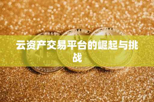 云资产交易平台的崛起与挑战