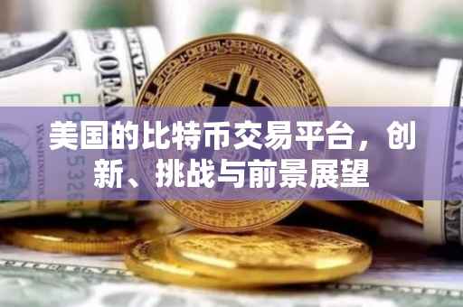 美国的比特币交易平台，创新、挑战与前景展望