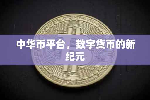 中华币平台，数字货币的新纪元