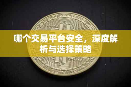 哪个交易平台安全，深度解析与选择策略