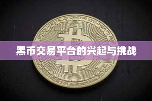 黑币交易平台的兴起与挑战