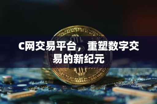 C网交易平台，重塑数字交易的新纪元