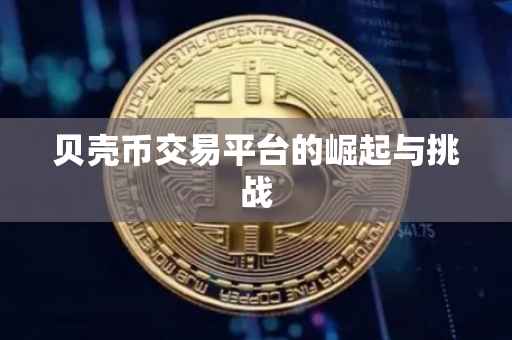 贝壳币交易平台的崛起与挑战