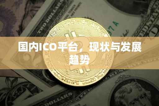 国内ICO平台，现状与发展趋势