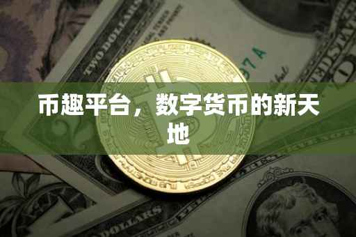 币趣平台，数字货币的新天地