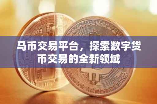 马币交易平台，探索数字货币交易的全新领域