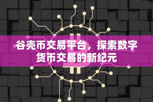 谷壳币交易平台，探索数字货币交易的新纪元