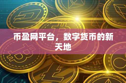 币盈网平台，数字货币的新天地