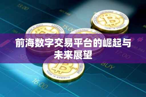 前海数字交易平台的崛起与未来展望