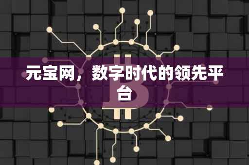 元宝网，数字时代的领先平台