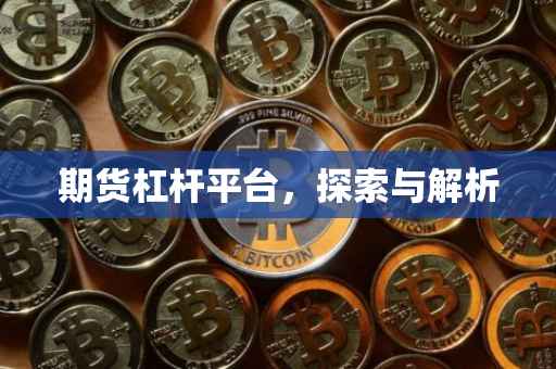 期货杠杆平台，探索与解析