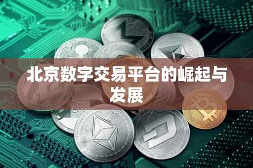 北京数字交易平台的崛起与发展