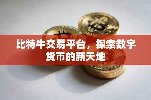 比特牛交易平台，探索数字货币的新天地