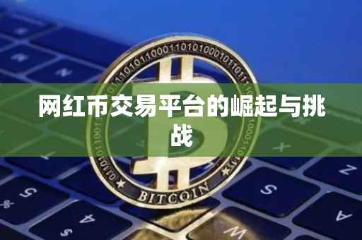 网红币交易平台的崛起与挑战