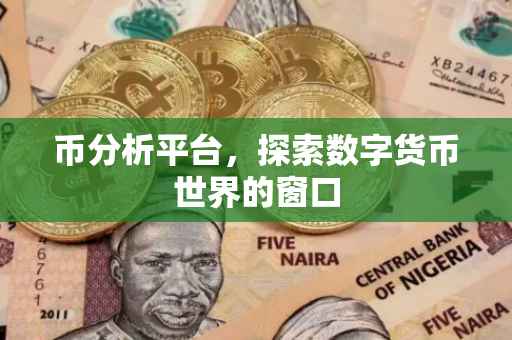 币分析平台，探索数字货币世界的窗口
