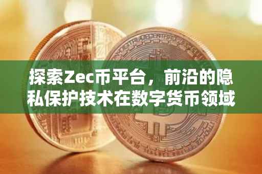 探索Zec币平台，前沿的隐私保护技术在数字货币领域的应用
