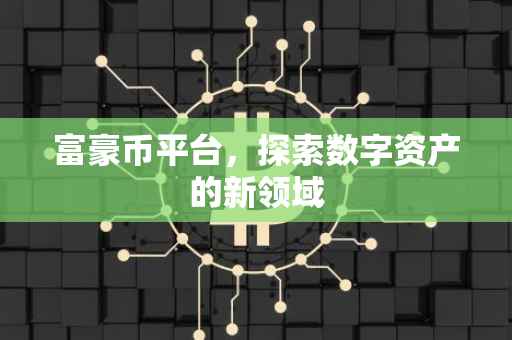 富豪币平台，探索数字资产的新领域