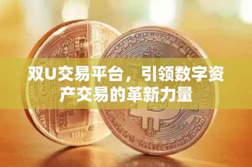 双U交易平台，引领数字资产交易的革新力量