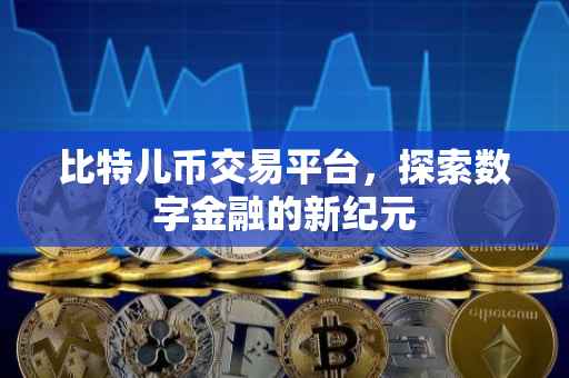 比特儿币交易平台，探索数字金融的新纪元