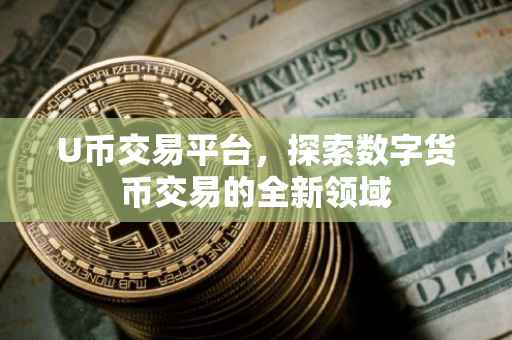 U币交易平台，探索数字货币交易的全新领域