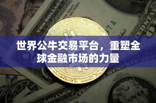 世界公牛交易平台，重塑全球金融市场的力量
