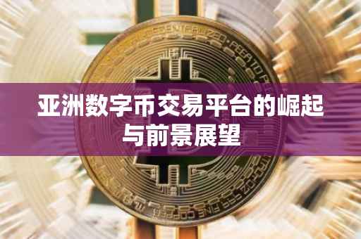 亚洲数字币交易平台的崛起与前景展望