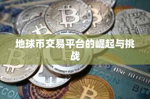 地球币交易平台的崛起与挑战
