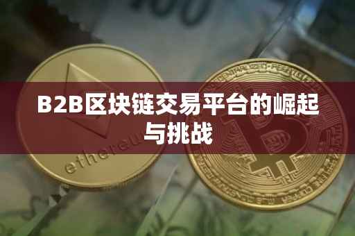 B2B区块链交易平台的崛起与挑战