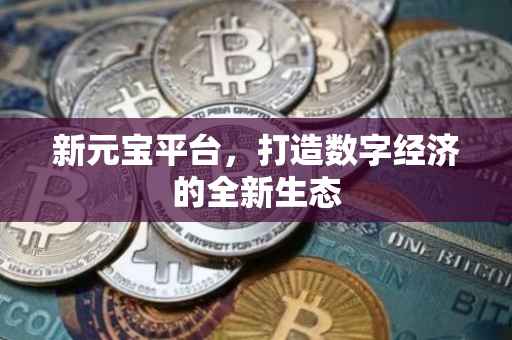新元宝平台，打造数字经济的全新生态