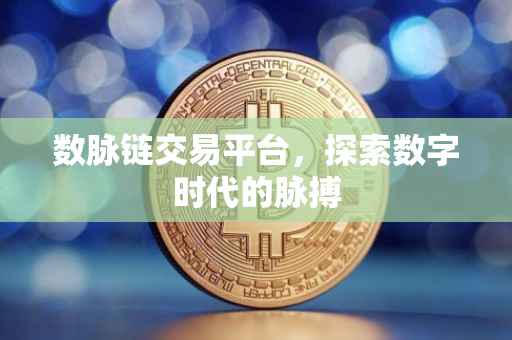 数脉链交易平台，探索数字时代的脉搏
