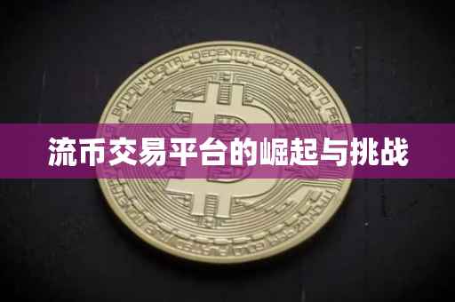 流币交易平台的崛起与挑战
