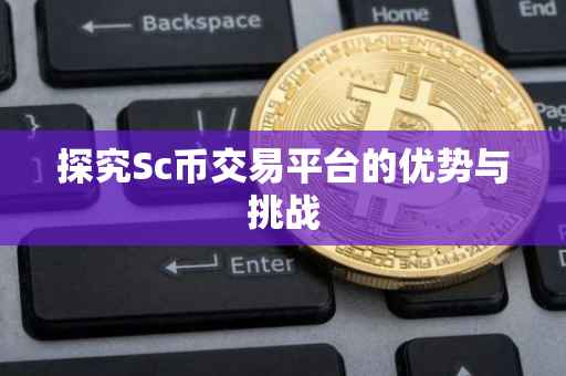 探究Sc币交易平台的优势与挑战