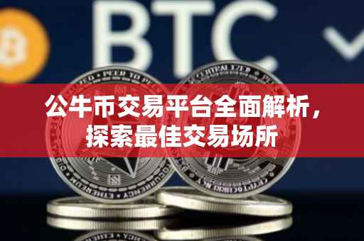 公牛币交易平台全面解析，探索最佳交易场所