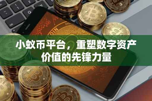 小蚁币平台，重塑数字资产价值的先锋力量