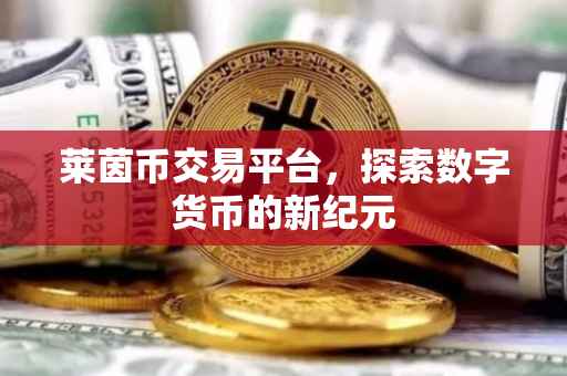 莱茵币交易平台，探索数字货币的新纪元