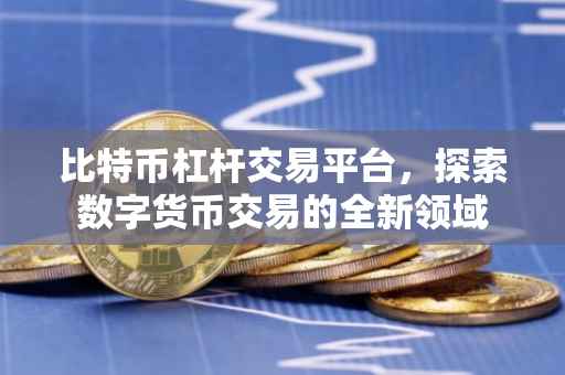 比特币杠杆交易平台，探索数字货币交易的全新领域