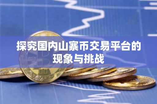 探究国内山寨币交易平台的现象与挑战
