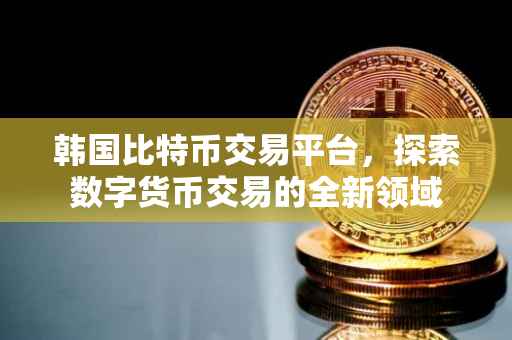韩国比特币交易平台，探索数字货币交易的全新领域