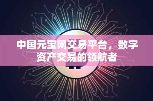 中国元宝网交易平台，数字资产交易的领航者